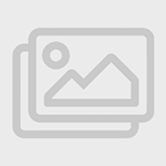 رمان اجتماعی