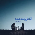 دانلود pdf رمان آنائل رانده شده