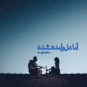 دانلود pdf رمان آنائل رانده شده