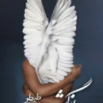 بازگشت طیطو