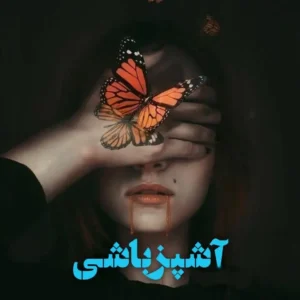 آشپز باشی