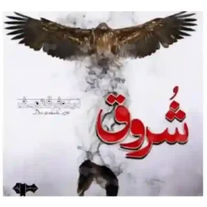 دانلود رمان صوتی شروق نیلوفر قائمی فر