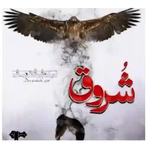 دانلود رمان صوتی شروق نیلوفر قائمی فر