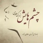 کتاب صوتی چشم هایش بزگ علوی